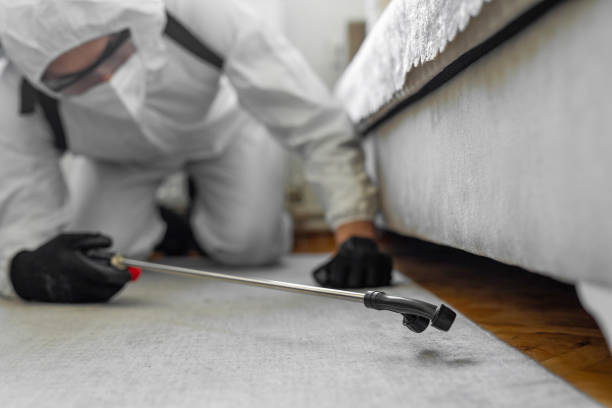 Professional Termite Control technician working in Rosedale, LA