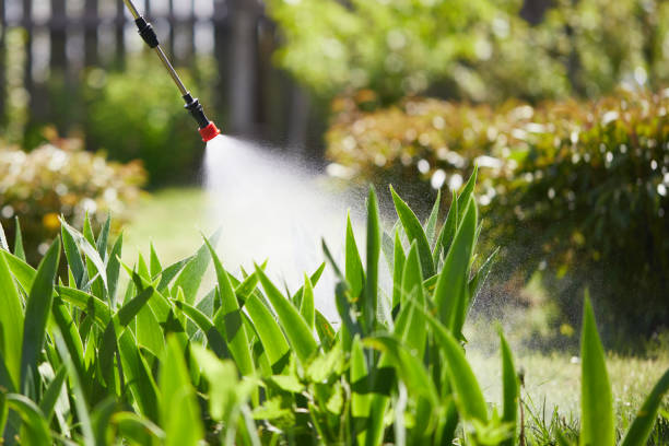 24/7 Emergency Termite Control experts in Rosedale, LA