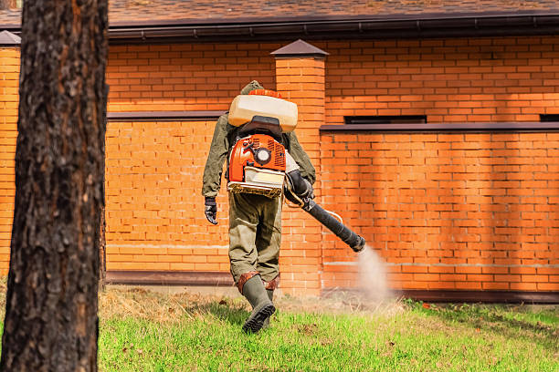 Top rated local Termite Control specialists in Rosedale, LA